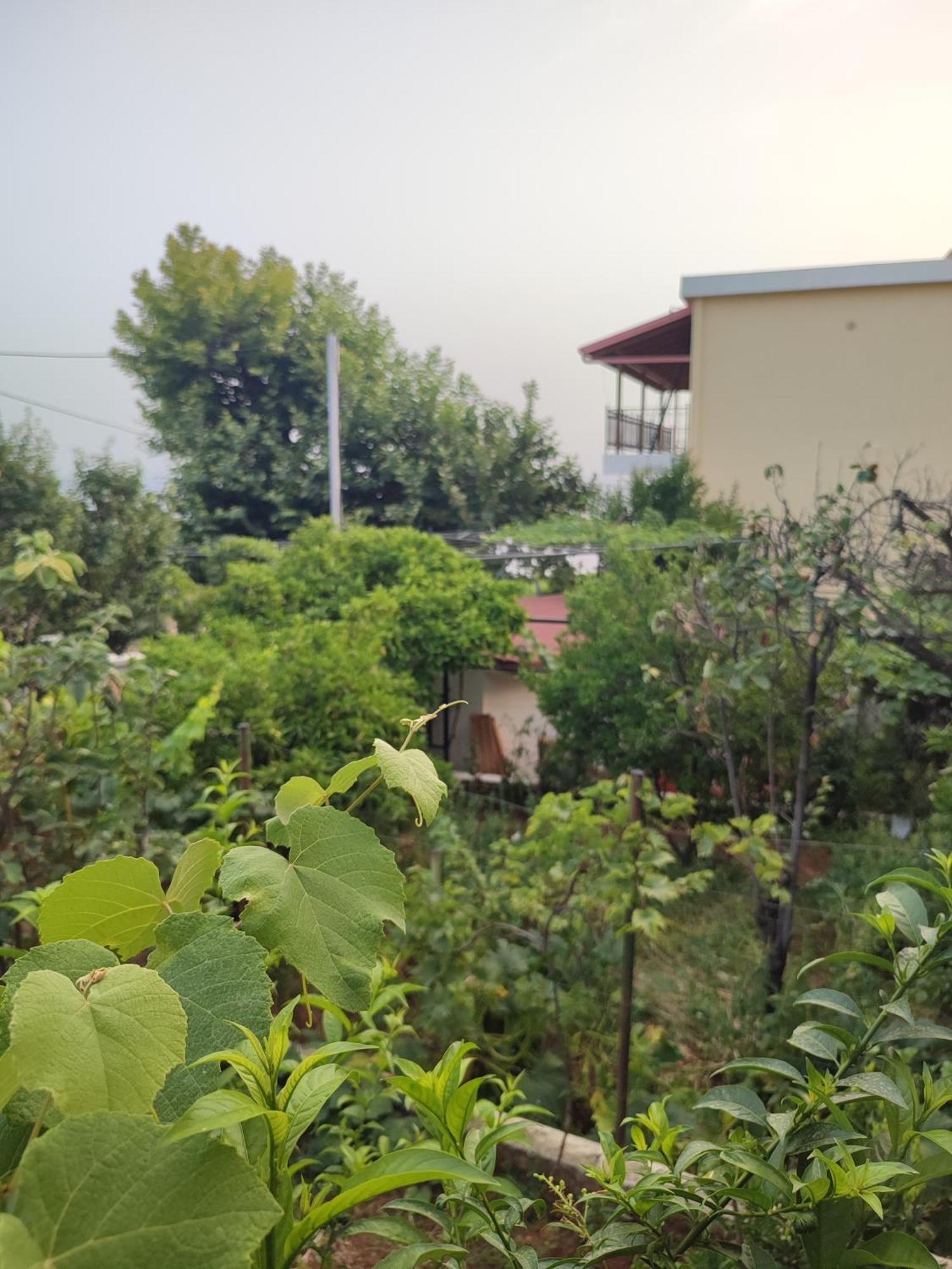 Villa Janilla Dhërmi Dış mekan fotoğraf