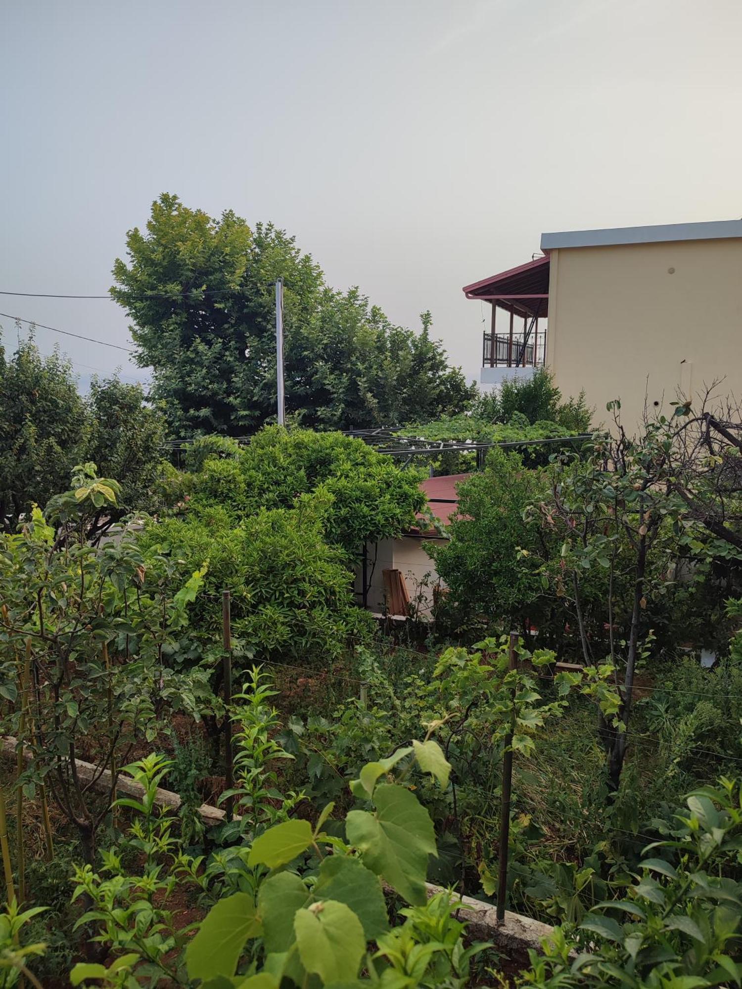 Villa Janilla Dhërmi Dış mekan fotoğraf